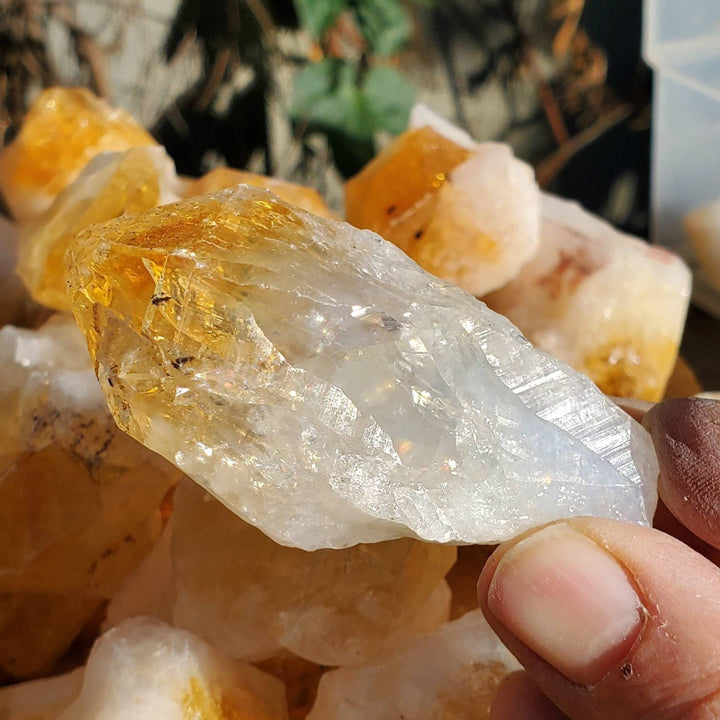 Raw Citrine Points,  Different Shapes of Citrine Points, Citrine the Merchants Stone - SOUTHBAYSALTS 