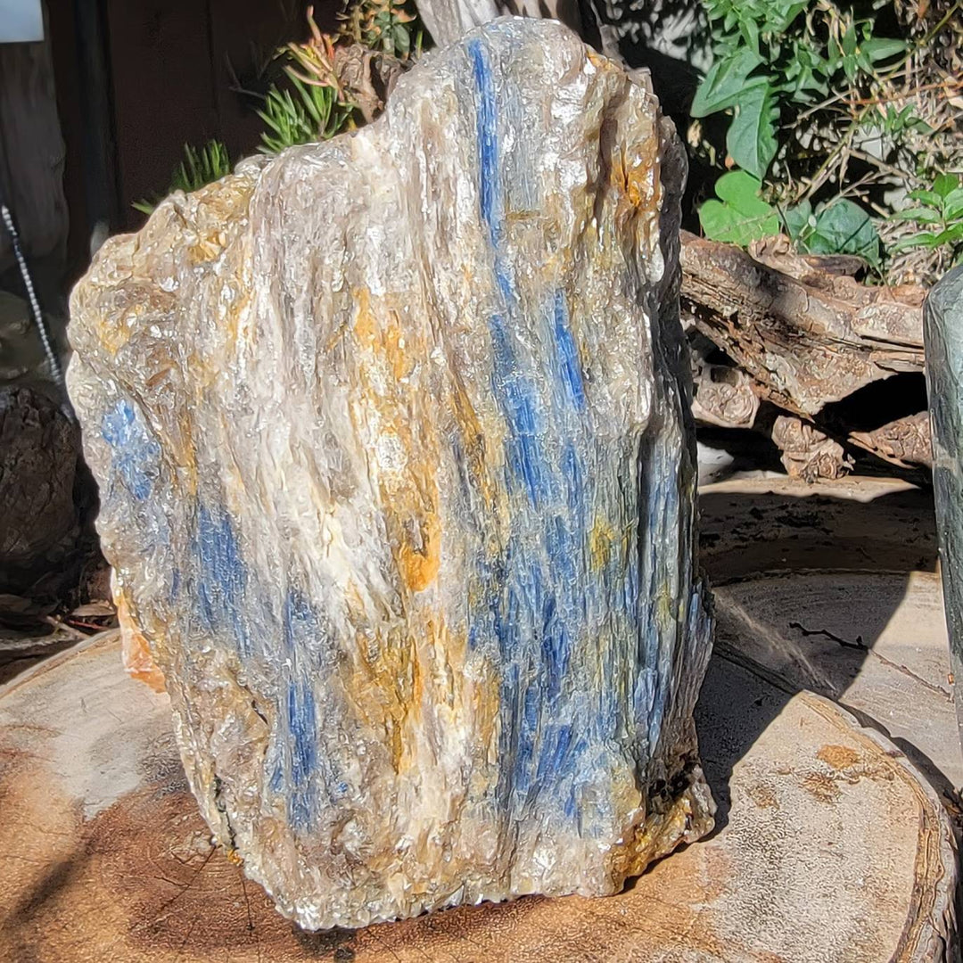 Raw Kyanite showing all its glorious beauty, Calming Energy of a Large Raw Kyanite Piece on a cut base - SOUTHBAYSALTS 