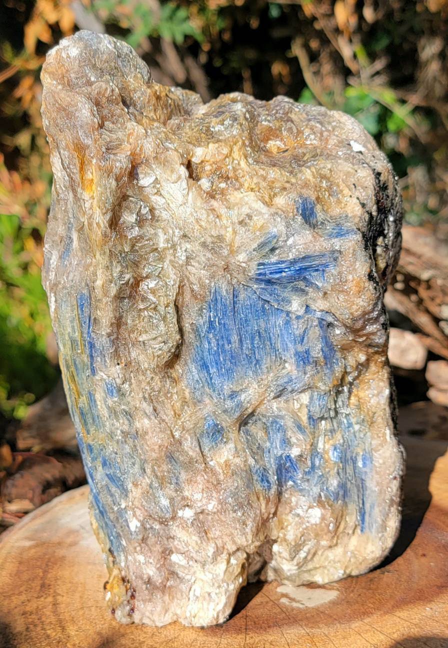 Raw Kyanite showing all its glorious beauty, Calming Energy of a Large Raw Kyanite Piece on a cut base - SOUTHBAYSALTS 