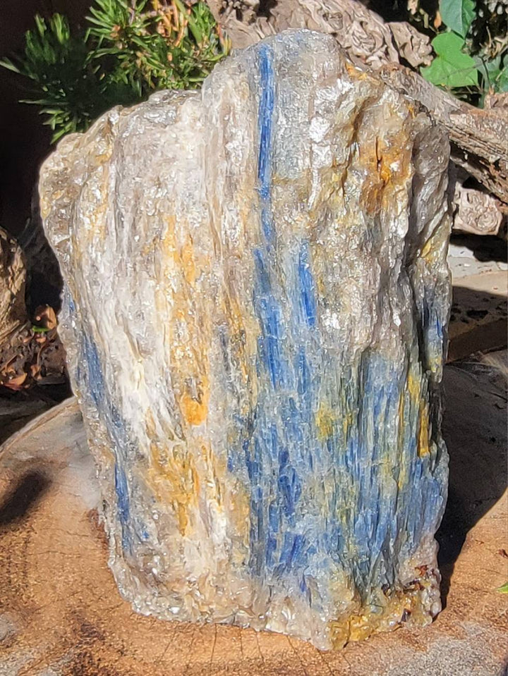 Raw Kyanite showing all its glorious beauty, Calming Energy of a Large Raw Kyanite Piece on a cut base - SOUTHBAYSALTS 