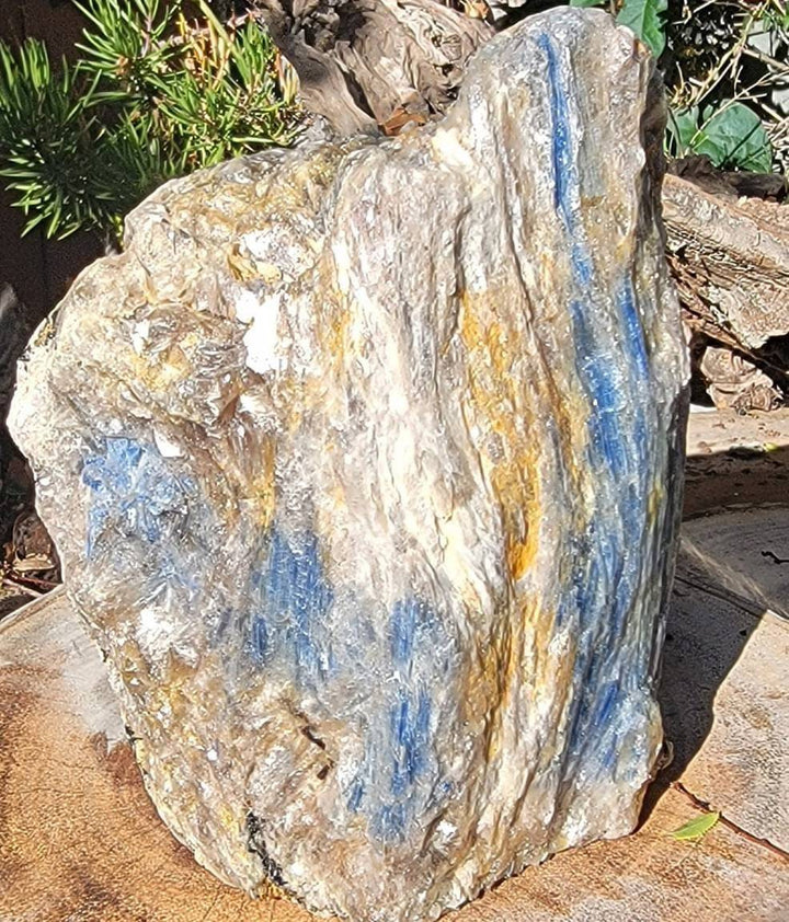 Raw Kyanite showing all its glorious beauty, Calming Energy of a Large Raw Kyanite Piece on a cut base - SOUTHBAYSALTS 