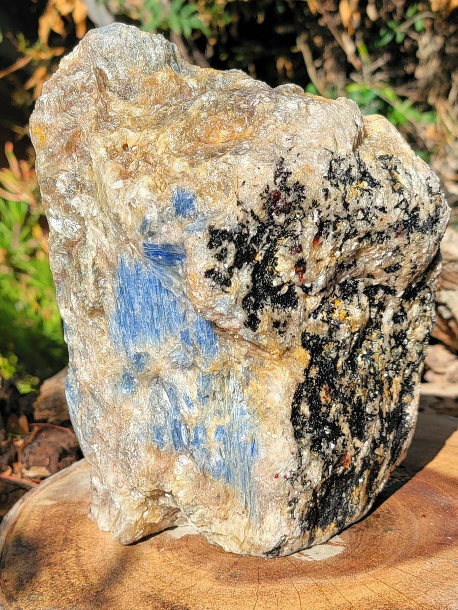 Raw Kyanite showing all its glorious beauty, Calming Energy of a Large Raw Kyanite Piece on a cut base - SOUTHBAYSALTS 