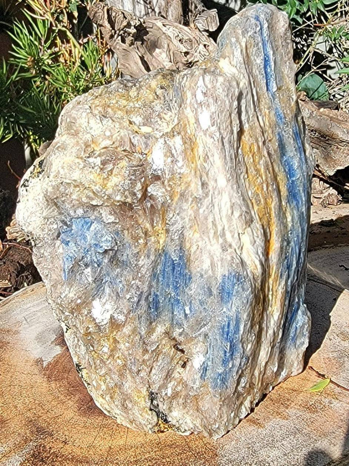 Raw Kyanite showing all its glorious beauty, Calming Energy of a Large Raw Kyanite Piece on a cut base - SOUTHBAYSALTS 