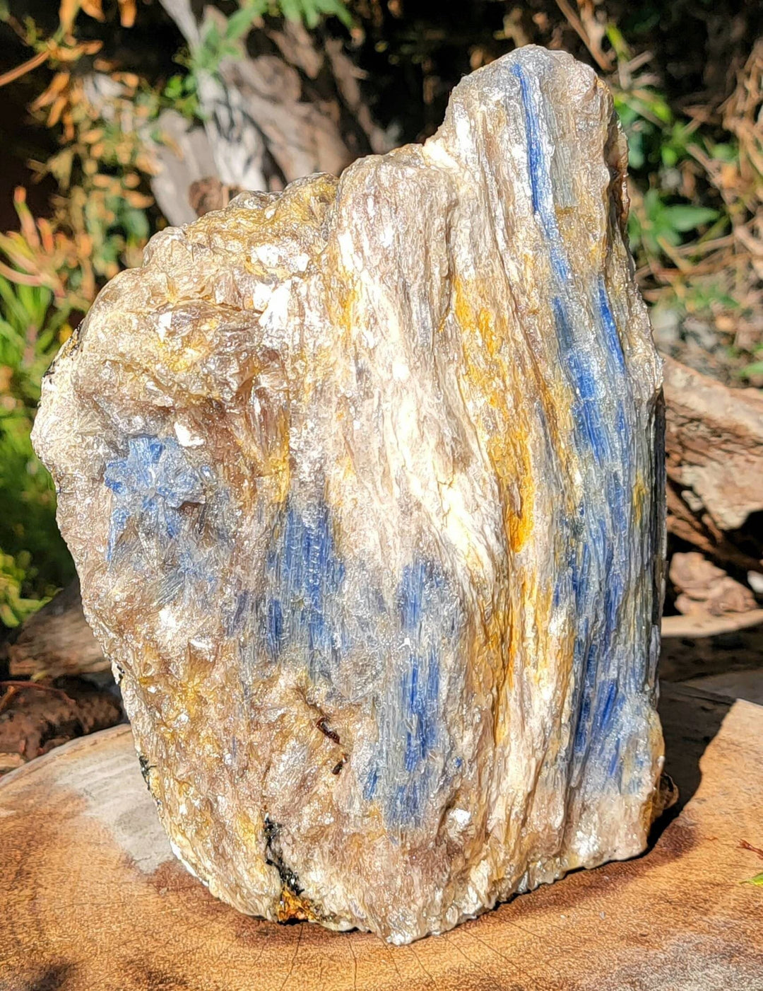 Raw Kyanite showing all its glorious beauty, Calming Energy of a Large Raw Kyanite Piece on a cut base - SOUTHBAYSALTS 