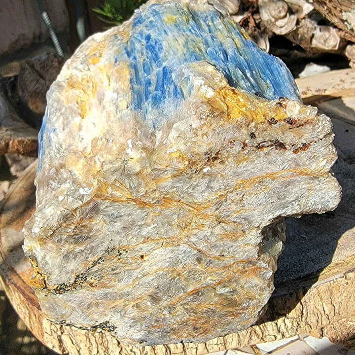 Raw Kyanite showing all its glorious beauty, Calming Energy of a Large Raw Kyanite Piece on a cut base - SOUTHBAYSALTS 