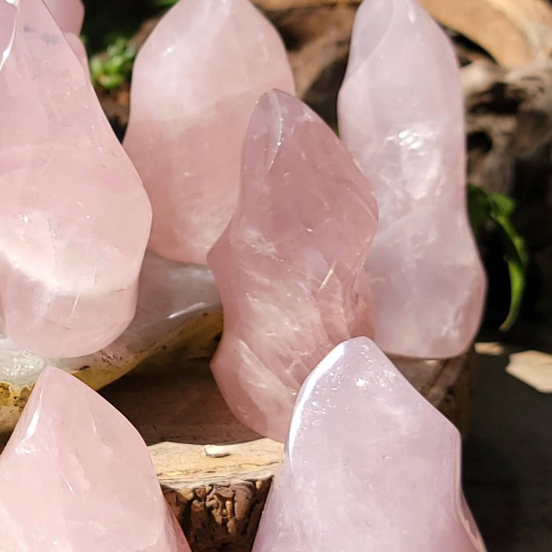 Rose Quartz Flames, Polished Rose Quartz Ina a Flame, Rose Quartz Polished Flames - SOUTHBAYSALTS 