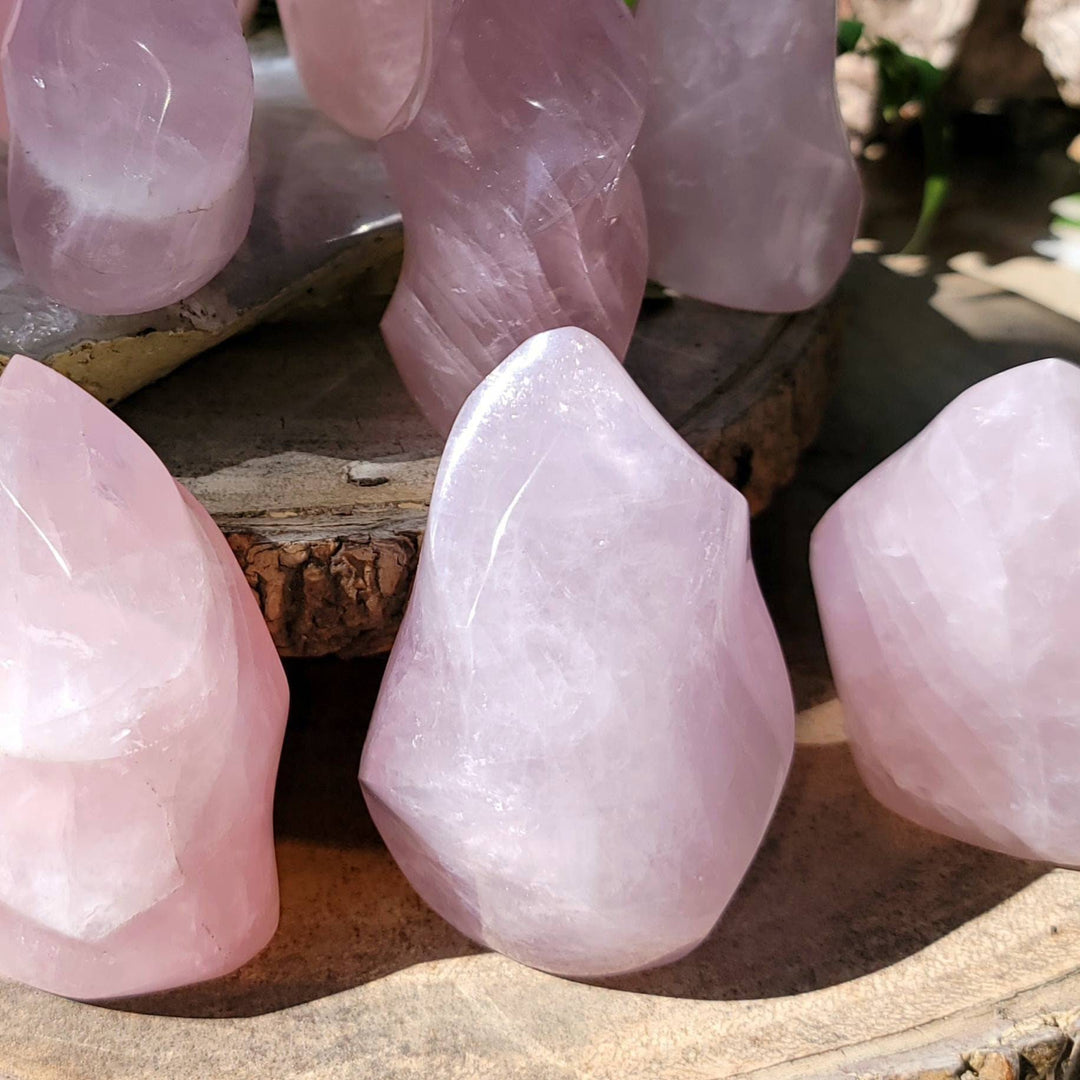 Rose Quartz Flames, Polished Rose Quartz Ina a Flame, Rose Quartz Polished Flames - SOUTHBAYSALTS 