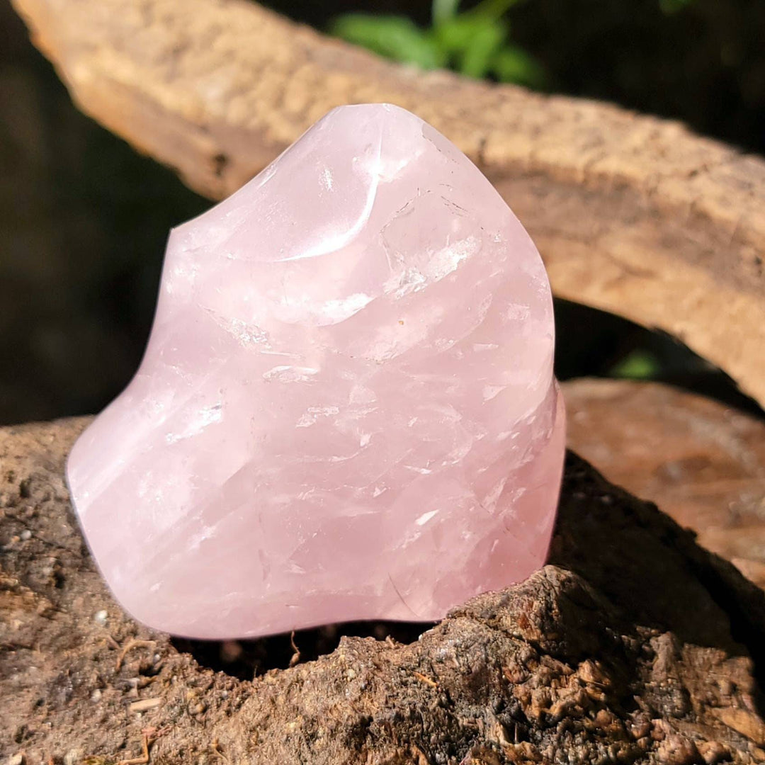 Rose Quartz Flames, Polished Rose Quartz Ina a Flame, Rose Quartz Polished Flames - SOUTHBAYSALTS 