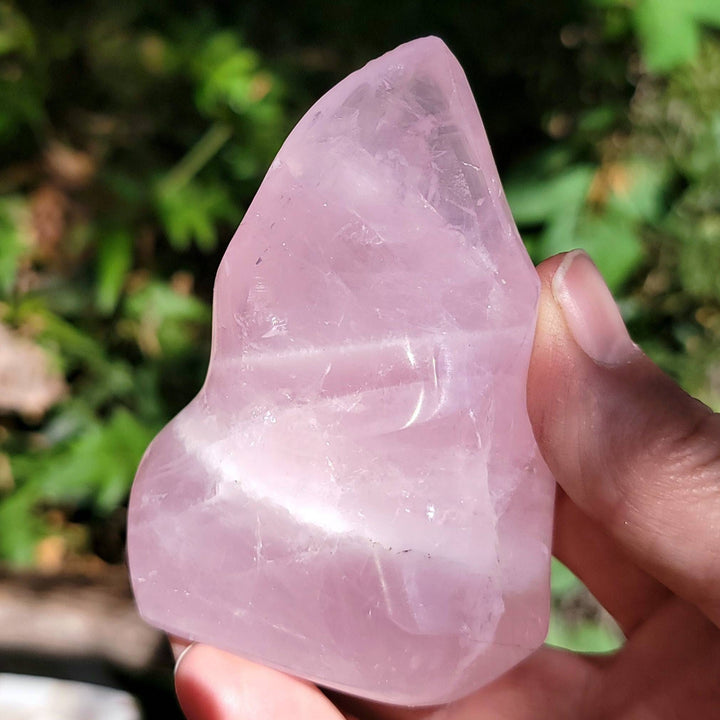 Rose Quartz Flames, Polished Rose Quartz Ina a Flame, Rose Quartz Polished Flames - SOUTHBAYSALTS 