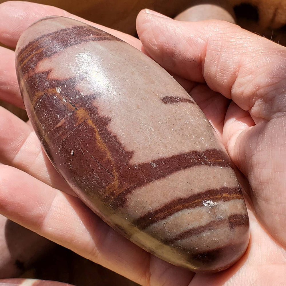 Shiva Lingam Stone, Crypto Crystalline Quartz, Purifying Energy for the home, Sacred Fertility Stone - SOUTHBAYSALTS 