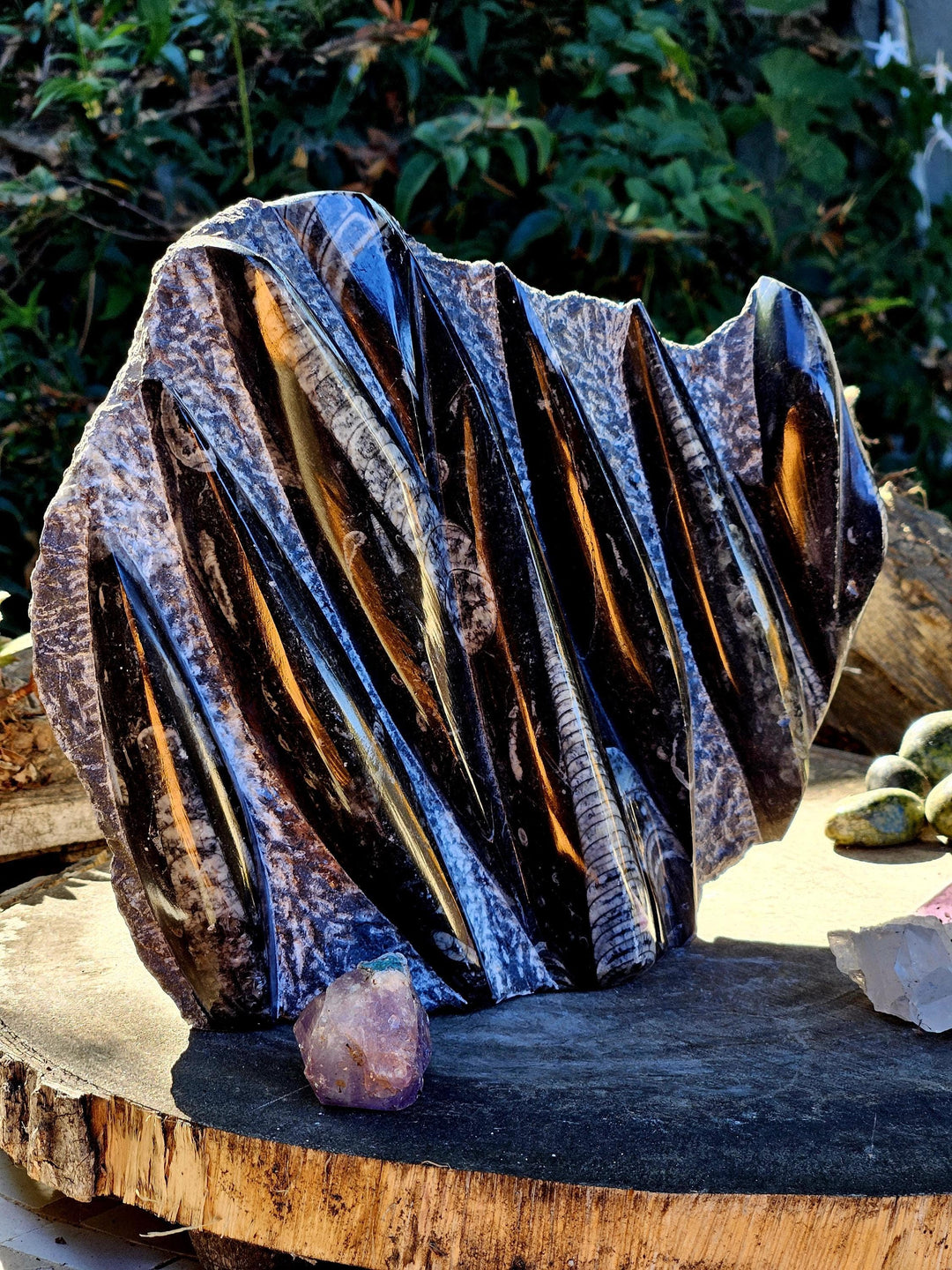 Orthoceras Statue,  Fossils of the Sea, The inspiring Fossil - SOUTHBAYSALTS 