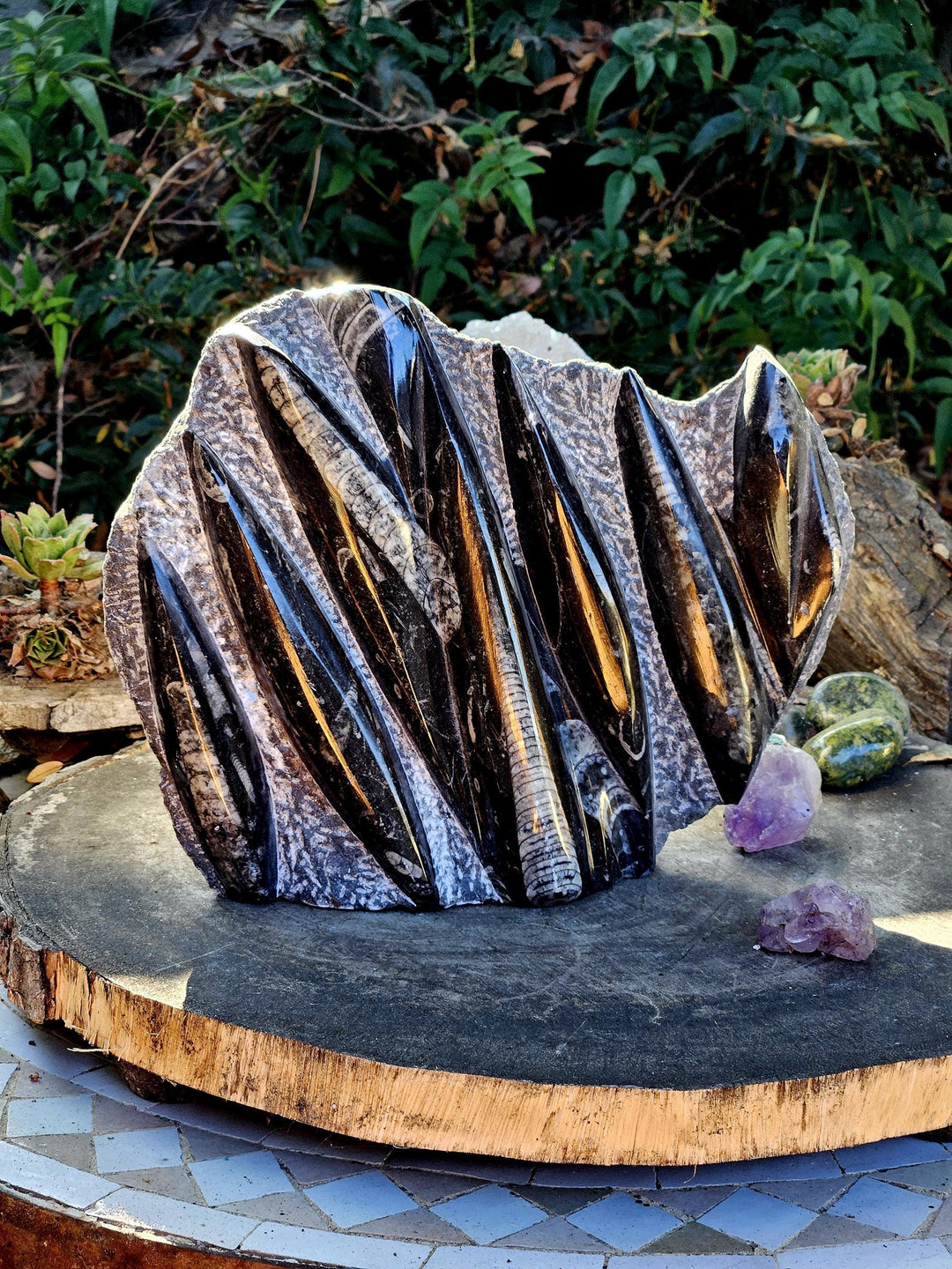 Orthoceras Statue,  Fossils of the Sea, The inspiring Fossil - SOUTHBAYSALTS 