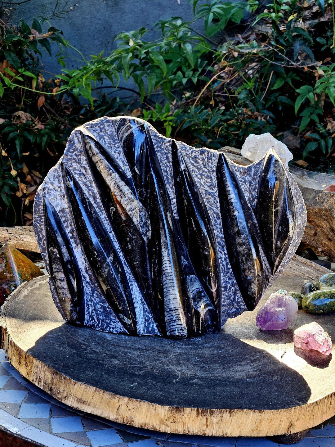 Orthoceras Statue,  Fossils of the Sea, The inspiring Fossil - SOUTHBAYSALTS 