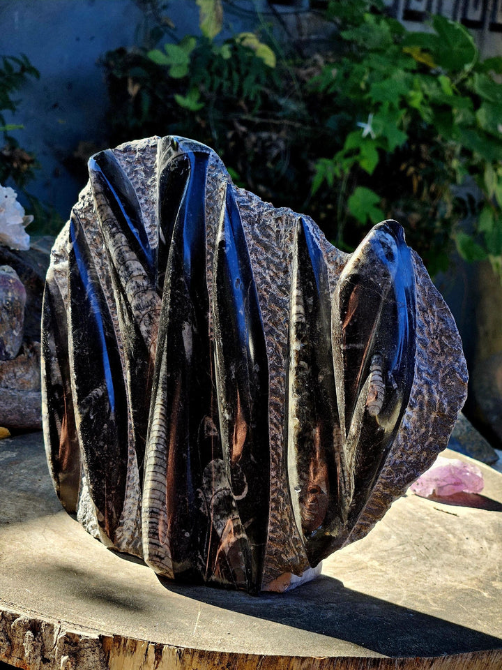 Orthoceras Statue,  Fossils of the Sea, The inspiring Fossil - SOUTHBAYSALTS 