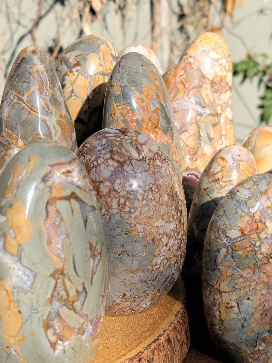 Ibis Jasper Freeforms, Brecciated Polished Jasper Freeforms, Stone of Relaxation and Acceptance - SOUTHBAYSALTS 