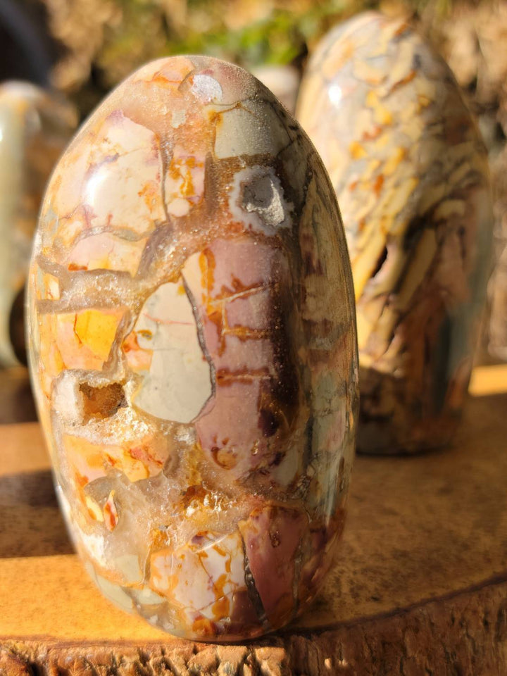 Ibis Jasper Freeforms, Brecciated Polished Jasper Freeforms, Stone of Relaxation and Acceptance - SOUTHBAYSALTS 