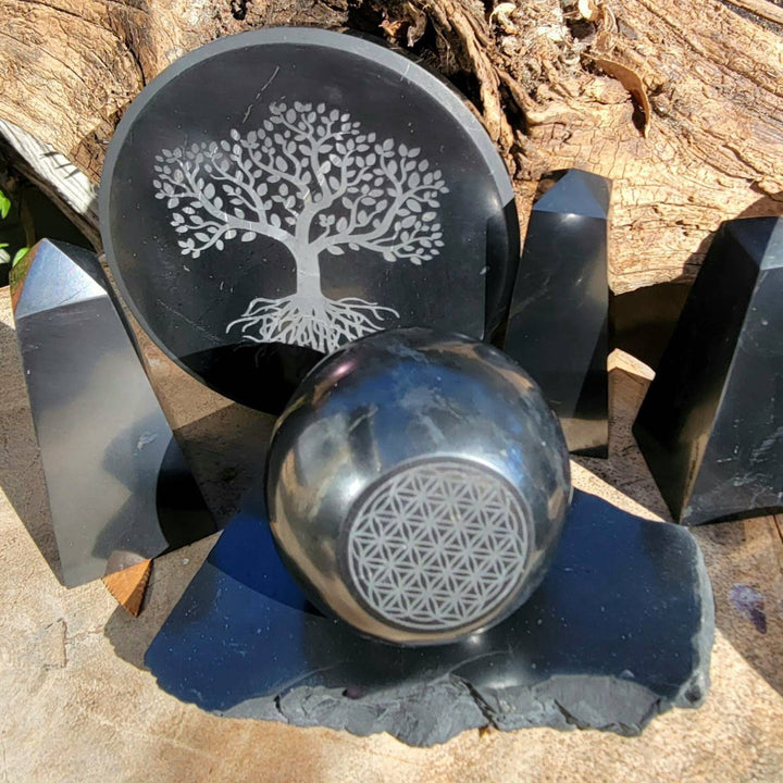 Shungite Variety, Defend Against the Digital Storm with Shungite’s Timeless Charm! - SOUTHBAYSALTS 