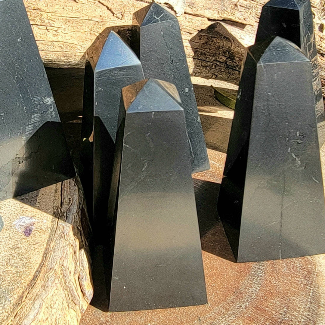 Shungite Variety, Defend Against the Digital Storm with Shungite’s Timeless Charm! - SOUTHBAYSALTS 