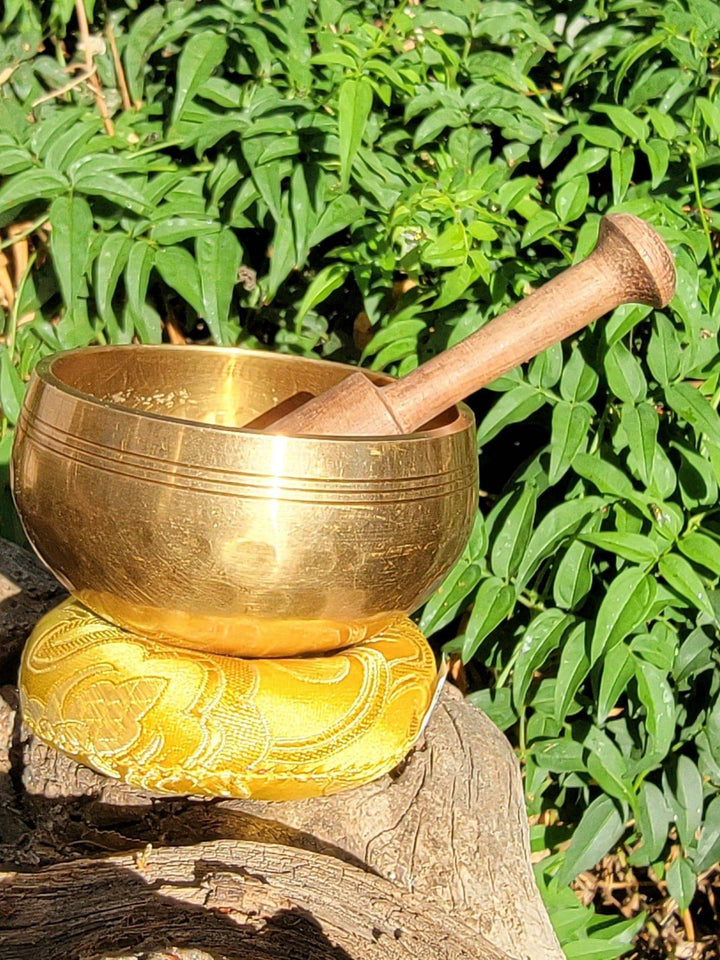 Singing Bowl, Beginner’s Bliss or Master’s Melody: The Singing Bowl That Strikes a Chord - SOUTHBAYSALTS 